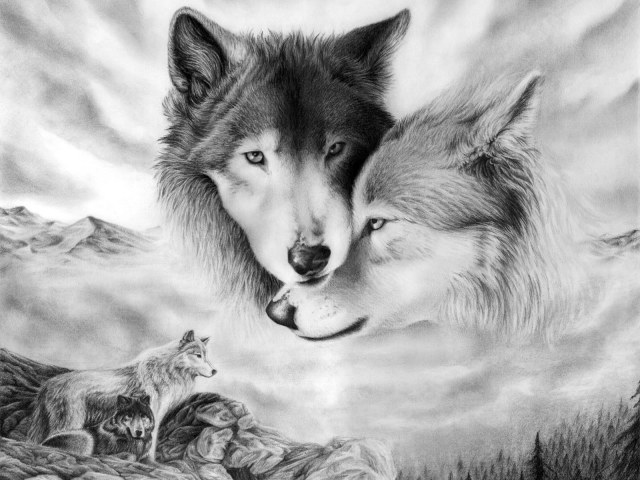 Animal Wolf 壁紙画像