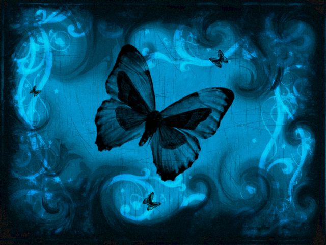 Butterfly 壁紙画像
