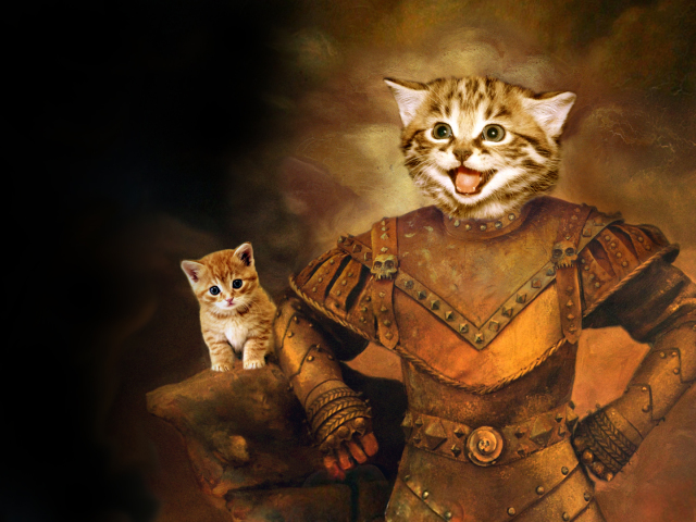 Cat Knight 壁紙画像
