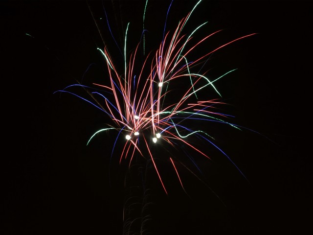 New Year Fireworks 壁紙画像
