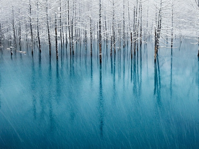 Winter In The Water 壁紙画像