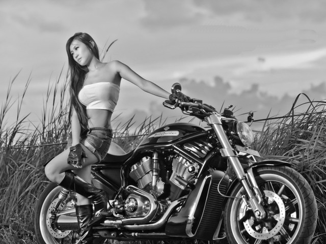 Girls And Motorcycles 壁紙画像