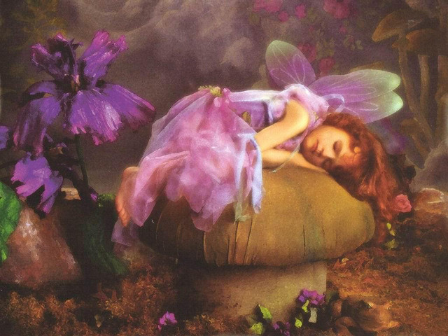 Sleeping Little Lady 壁紙画像