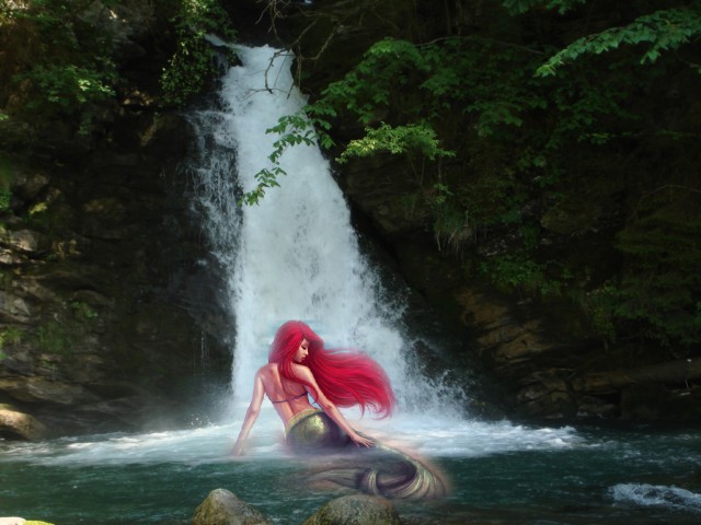 Ariel The Mermaid 壁紙画像