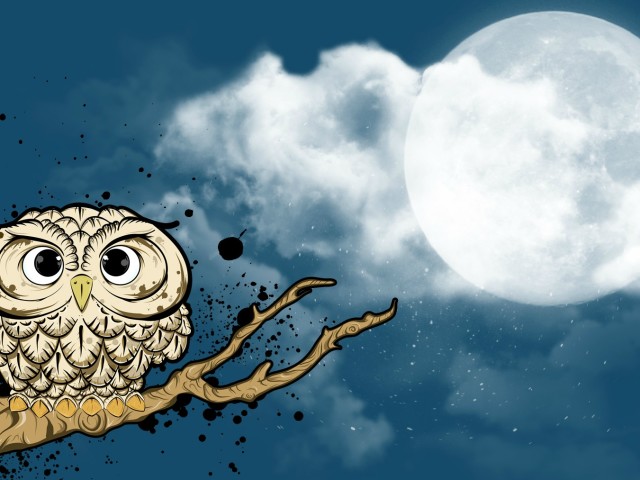 Owl 壁紙画像