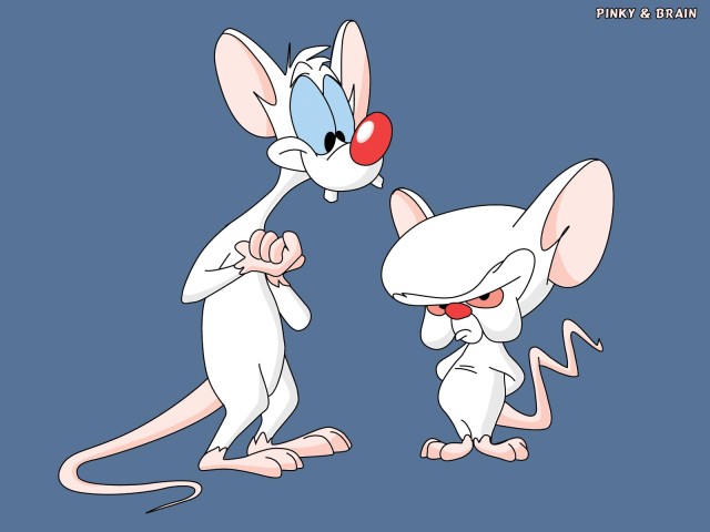 Pinky And The Brain 壁紙画像